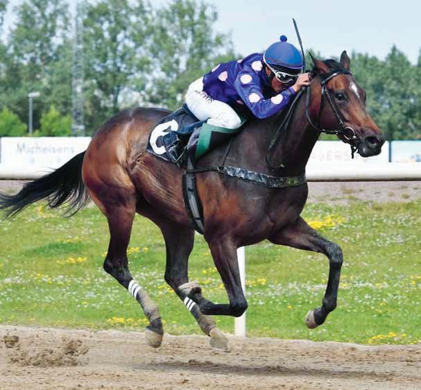 DERBYBANAN JÄGERSRO NR 9 ONSDAG 0 SEPTEMBER 0 KL.0 JÄGERSRO GALOPP Fri entré! Många orutinerade hästar ger chans till höga odds!