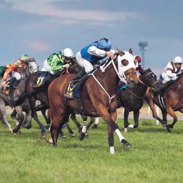 EKONOMISK JÄGERSRO GALOPP Tävlingarna arrangeras av Skånska FältrittklubbenSvensk Galopp www.svenskgalopp.se e-post info@svenskgalopp.