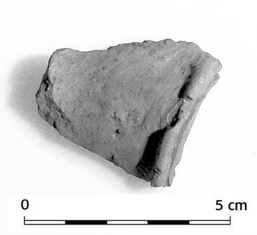 bälgmunstycke.