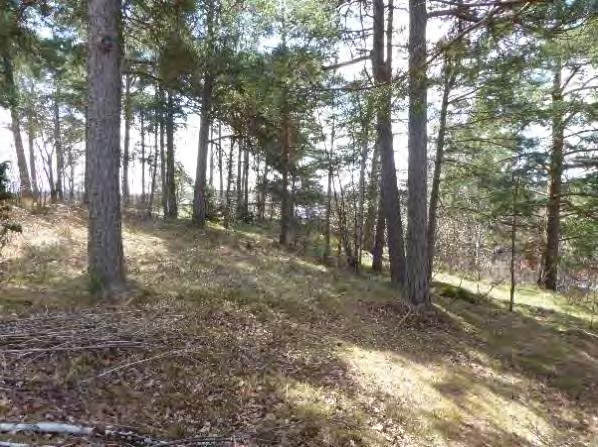 Detaljplan för bostäder vid Storökan 5 m.fl. Antagandehandling Datum Trosa kommun 2017-11-10 byggnad får uppföras per fastighet.