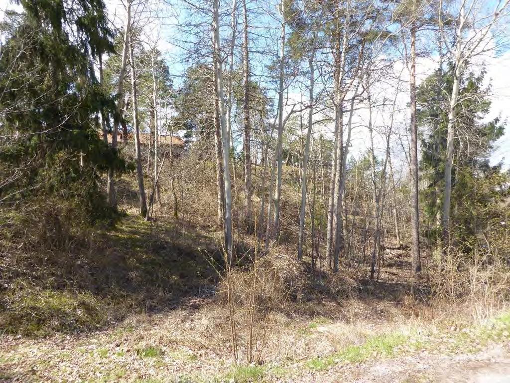 Detaljplan för bostäder vid Storökan 5 m.fl. Antagandehandling Datum Trosa kommun 2017-11-10 Foto på vegetationen inom områdets norra del. Foto på vegetationen inom områdets östra del.