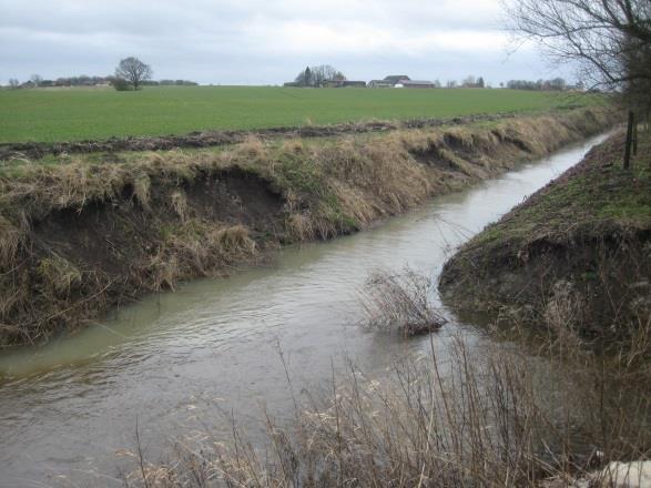 Erosion och sedimentation i vattendraget Uttransport av fosfor via erosion av jord från dikeskanter eller p.g.a. översvämningar av intilliggande åkermark varierar utmed Torpsbäcken.