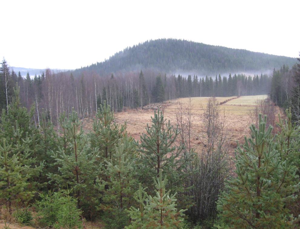 väg 620 i bergskärning.