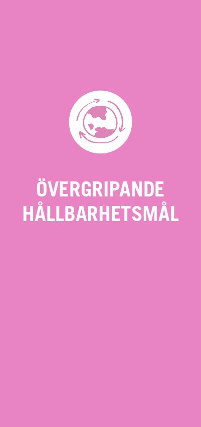 CITYLAB HÅLLBARHETSPROGRAM Citylab Guide ger projekt vägledning i slutförandet av sitt hållbarhetsprogram.