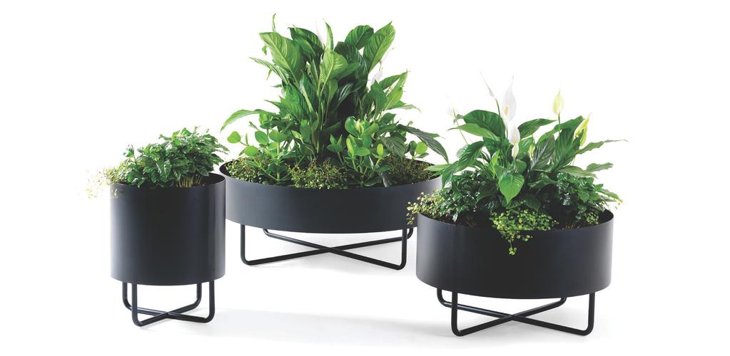 Med Shima Garden skapar vi gröna miljöer inomhus Shima Garden - Böttcher Henssler Kayser Shima, formgiven av Böttcher Henssler Kayser, utvidgas med produkter som möjliggör för kreativt möblerande av