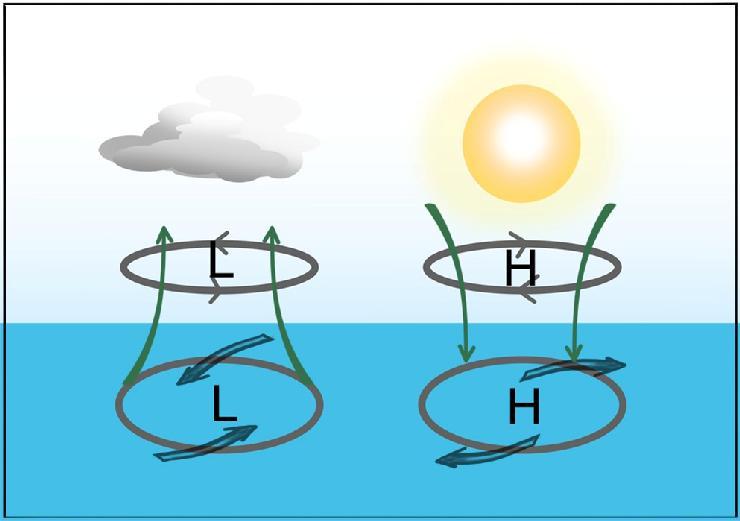 Meteorologi för kappsegling Lågtryck och högtryck På norra halvklotet rotera vindarna motsols i ett lågtryck. Medsols i ett högtryck.