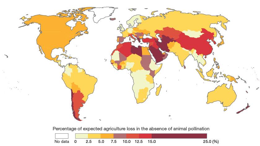 Ökat beoende av pollineing globalt Me än 300% ökning