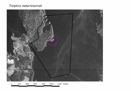 6. Finansiering av naturvårdsförvaltningen 6.1 Finansiering av naturvårdsförvaltningen Alla i planen redovisade åtgärder bekostas av Ydre kommun med undantag av nedan angivna åtgärder.