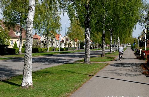 Vegetation Vegetation i allmänhet och träd i synnerhet utgör en viktigt byggsten för att skapa ett tydligt vägrum.