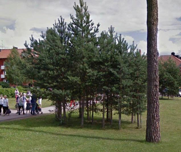 Få material i fråga om ytor och växtmaterial föreslås för att samla de omkringliggande områdenas vitt skilda karaktärer. Plantering av tallgrupperingar i gräsytor ger karaktär åt platsen.