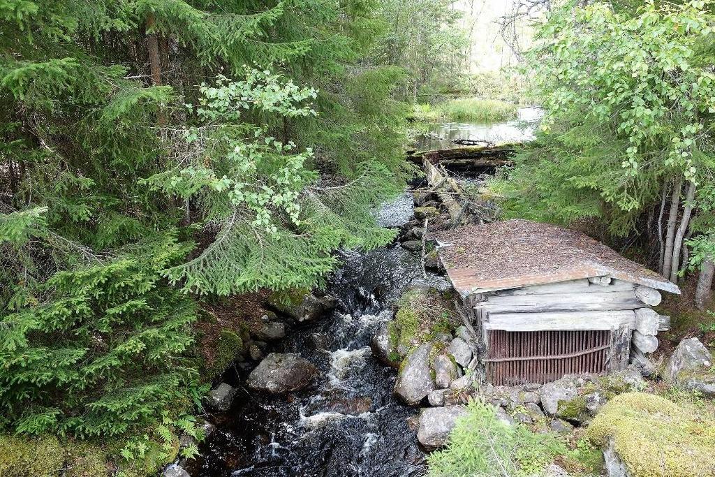 FISKEVÅRDSARBETET I TESTEBOÅN 2017 Högt upp i ett av Testeboåns källflöden finns denna gamla ålkista fortfarande kvar. Dock inte längre i brukbart skick.