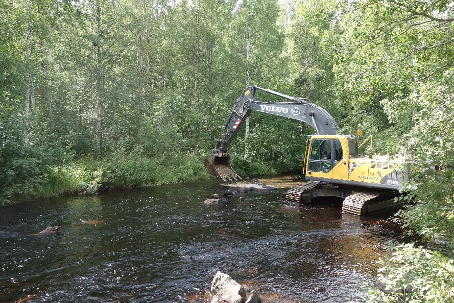 Byströmmen har restaurerats för att återskapa en bättre miljö för fisken efter den flottledsrensning som gjorts en gång i tiden. Ståndplatser har skapats och lekbottnar har anlagts.