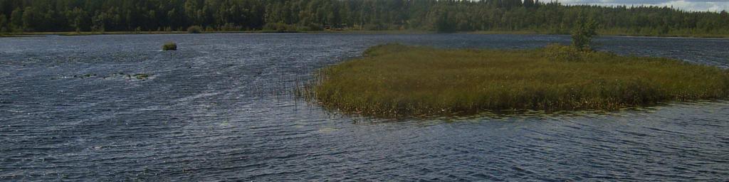 Sjöbeskrivning Sjökaraktär Björkhultssjön har en areal av 14 ha och är belägen över högsta kustlinjen på en höjd av 166 möh i Uppvidinge och Högsby kommun.