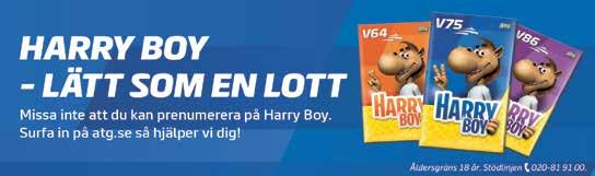 King Taurus År Segrare 2002 Pistol Pete Boko 2003 Baron Indika 2004 Black Flyer 2005 Peach Princess 2006 Plenty Hope 2007 Villevalle Victory 2008 Staro Bamboo