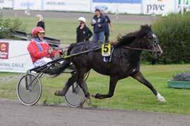 Racer Bourbon är far och Valnes Grace är sjunde avkomman till Allenie som tränades av Olle Goop. Mormorsmor är Karolina J. stolt mor till Legolas.