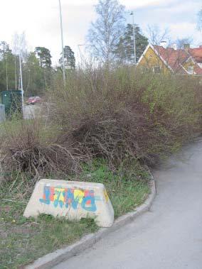 Krock/Möte med naturen Här står en bortglömd sugga. En ganska vanlig syn. Den ställdes ut för a påvisa vart en tillfälligt fly ad busshållsplats låg.