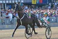 Uppfödare: All La Nouva Sbarra Srl, Florida, USA. Tränare: Jimmy Takter. Kusk: Johnny Takter. Skötare: Tobias J Gustafsson. Elitloppsklar och kommer från en strålande insats i Copenhagen Cup.