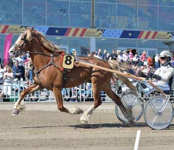 K.H. Prins Daniels lopp och omgången kryddas med en jackpot med 42 miljoner kronor i sjurättspotten. Stjärnhästar på plats och vi snackar verkligen toppsport på lördag!