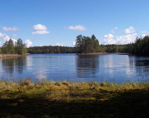 HUR PÅVERKAS MOSSFLORAN VID SJÖSTRÄNDER AV HELIKOPTERKALNING 35 10 Hur påverkas mossfloran vid sjöstränder av helikopterkalkning? Att mossfloran påverkas av kalkning vid våtmarkskalkning är väl känt.