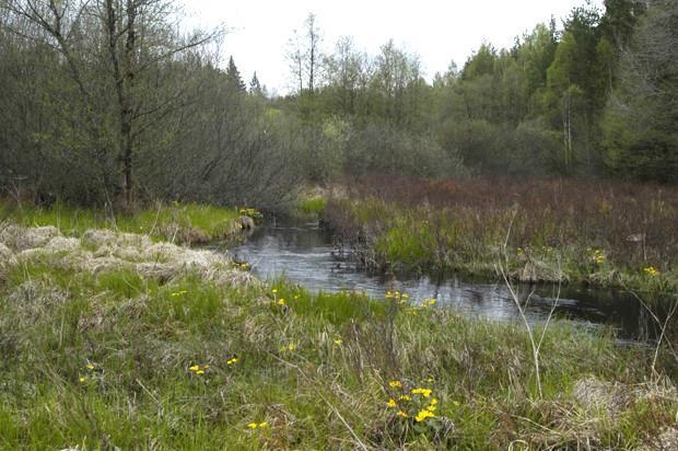 översvämningsmarker 2015-06-04