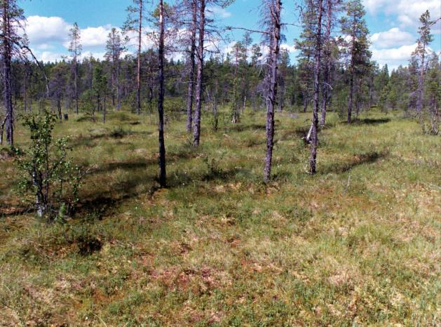 från nederbörden.