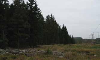 Naturmarken som kraftledningen går genom hela sträckan i Ljusnarsbergs kommun är en del av naturreservatet runt Malingsbo - Kloten och är av riksintresse för friluftslivet (FRI 8).