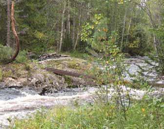 bäck, Hammarskogsån, med förekomst av flodpärlmussla och påverkan av bäver i området. Öster om sjön Usken samt vid södra Brunnsjön finns naturområden med höga naturvärden i anslutning till ledningen.