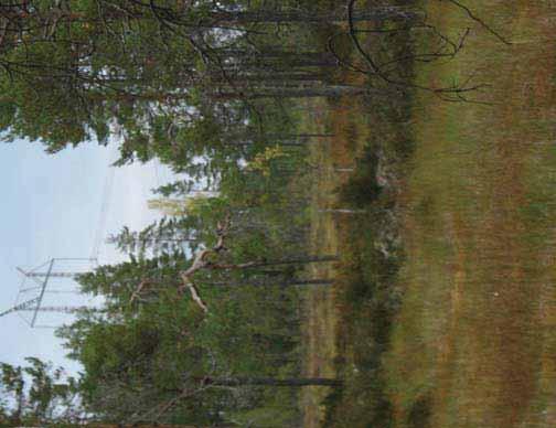Inom riksintresset passeras ett område som har mycket högt naturvärde och som ingår i Örebro s naturvårdsprogram.
