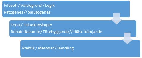 Figur 19. Olika idémässiga utgångspunkter för hälsoarbete. Patogenes bygger på naturvetenskaplig grund.