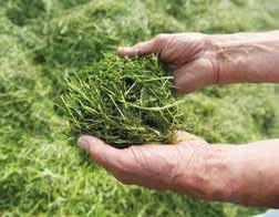 CROPCUTTER BEARBETNINGSALTERNATIV Högeffektivt CropCutter -system 15 integrerade knivar garanterar en mycket fin hackning som är idealisk för ensilage