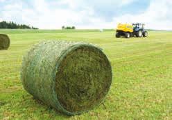 traditionella arbeten i hö och halm tillsammans med de som specialiserats i alfalfa för att bevara en lång och oskadad gröda
