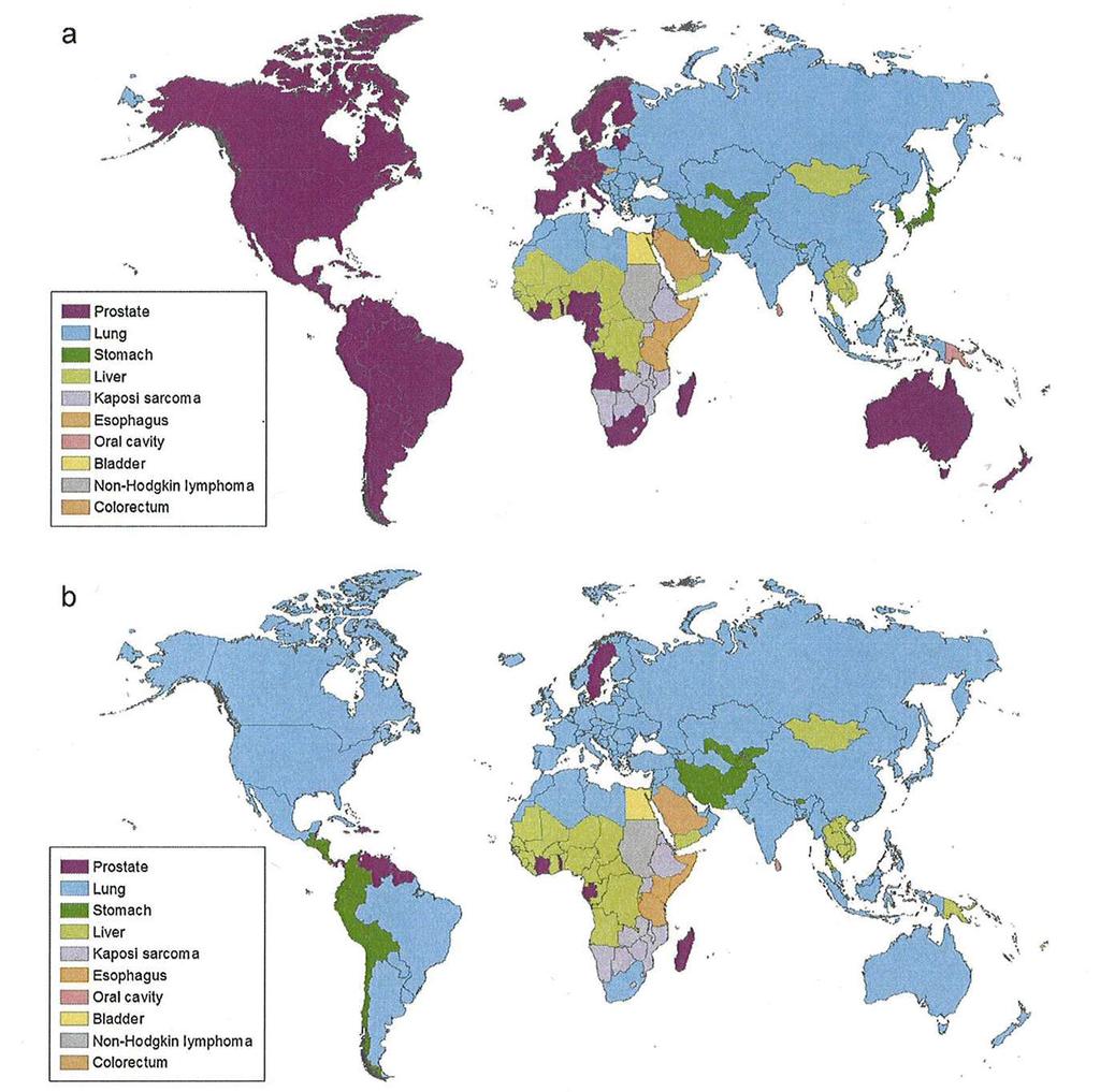 a) Most commonly diagnosed cancer among men worldwide, 2008 Second leading cause of Cancer death