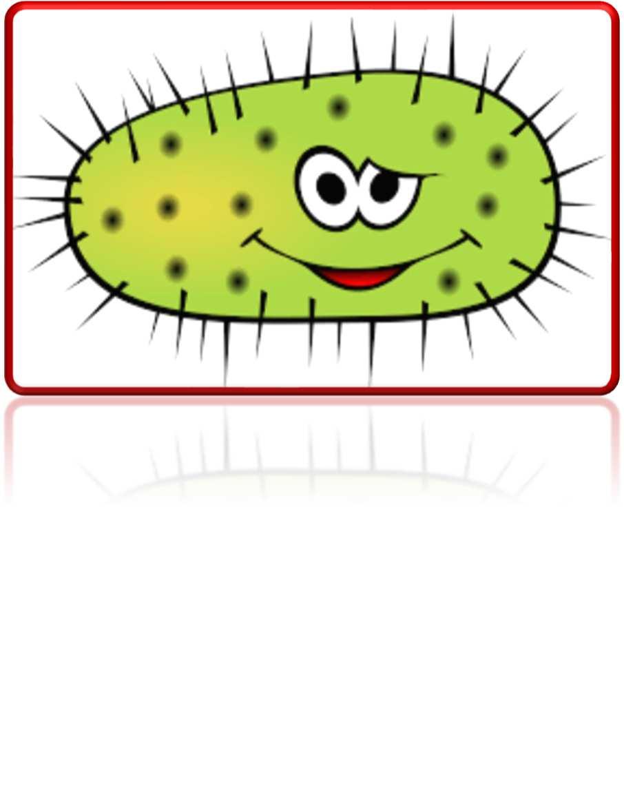 1. Biologi Ni kommer nu att få höra några påståenden som handlar om biologi, och sen ska ni svara på om de är sanna eller falska.