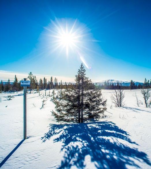 KONTAKT Sven-Olof Hedin, Skidområdes- fastighetsansvarig 070-328 58 65 trillevallen@home.se Cecilia Lind, VD 070-360 99 09 cecilia.lind@trillevallen.com VAKNA HÄR INFO www.trillevallen.com info@trillevallen.