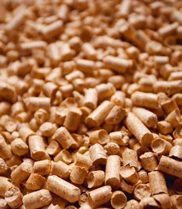 BRÄNSLELAGRING Det finns alltid plats för pellets Pelletsförrådet kan bekvämt inrättas där oljetanken tidigare stod.