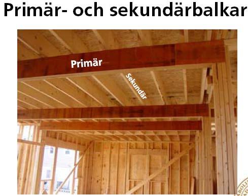 Primär- och