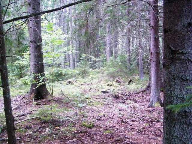 Högsby Skurebo 2:4 m.