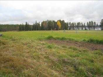 Fristad Kommun Beskrivning Motiv för urval Skydd Tillgänglighet Arvidsjaur Fristad är ett nybygge från 1800-talets förra hälft. Här finns en gård belägen på udde i Arvidsjaursjön.