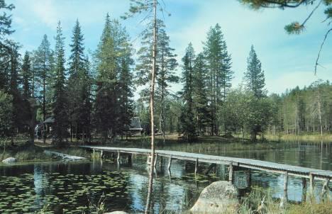 Hedvallen Kommun Beskrivning Motiv för urval Skydd Tillgänglighet Nyttjande Referenser Arvidsjaur Hedvallen var ett sommarviste inom Östra Kikkejaures skogssameby.