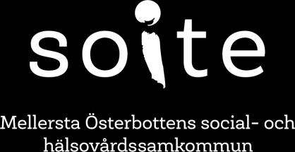 Intern anvisning 1 (19) PLAN FÖR EGENKONTROLL INOM SOCIALSERVICEN INNEHÅLL 1 UPPGIFTER OM SERVICEPRODUCENTEN (4.1.1)... 2 2 VERKSAMHETSIDÉ, VÄRDERINGAR OCH PRINCIPER (4.1.2)... 3 3 RISKHANTERING (4.1.3).