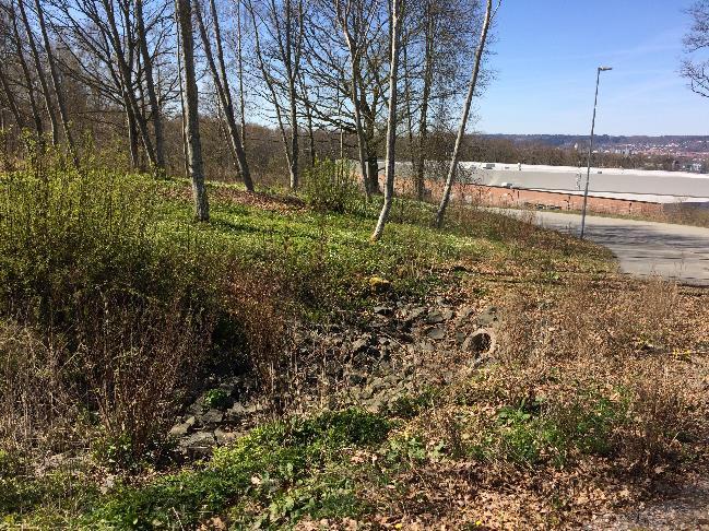 Figur 2-4 a) Dike i norra