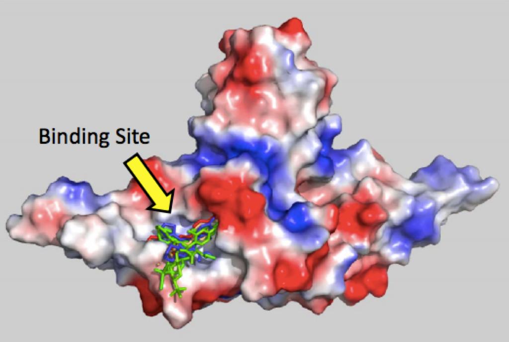 Core Protein Allosteric Modifiers (CpAM)