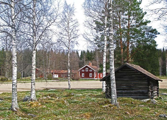 Livet omkring oss Om ängar, småkryp och mångfald på Erik-Lars i Åsmundshyttan Barbro Risberg Gården Erik-Lars ligger i byn Åsmundshyttan i södra delen av Hofors kommun.