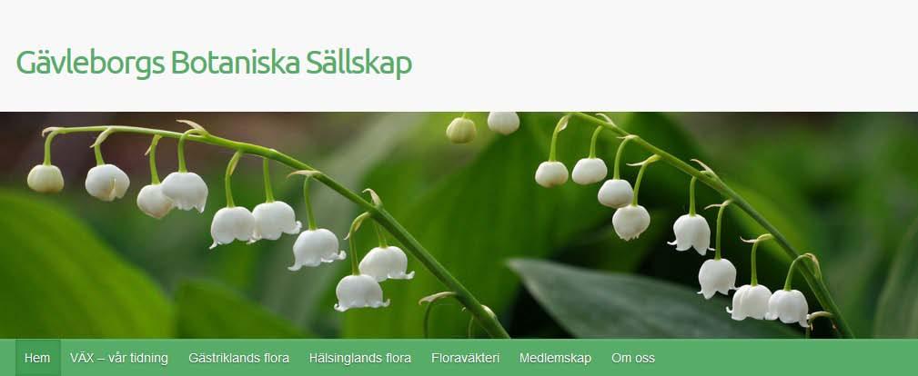 Uppdatering av vår hemsida. Redaktionen Magnus Bergström har gjort vår hemsida ännu bättre och sidan har fått ny adress: http://gavleborgsbotaniskasallskap.se/ Titta gärna in!