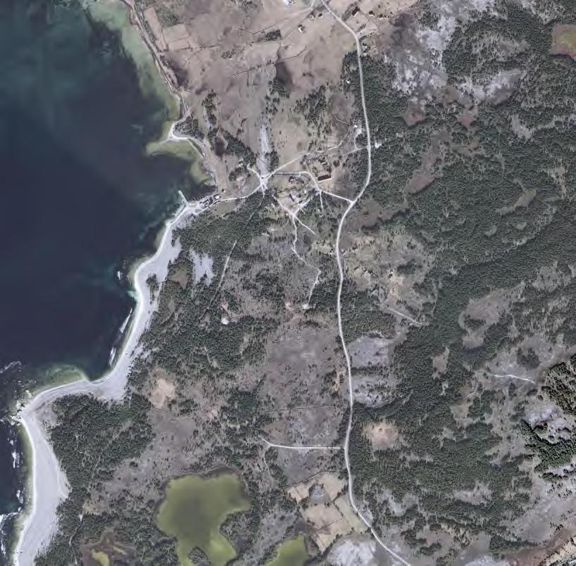 Region Gotland PLANBESKRIVNING SAMRÅD BN 2015/994 Fårö Lauter 1:10 2017-06-07 någon betydande miljöpåverkan, orsakat av planens genomförande inte kommer att uppstå, ej heller någon påtaglig skada av