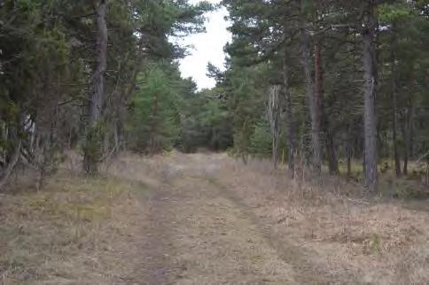Region Gotland PLANBESKRIVNING SAMRÅD BN 2015/994 Fårö Lauter 1:10 2017-06-07 ten med en gemensamhetsanläggning är att skapa förutsättningar för en långsiktig förvaltning av den gemensamma