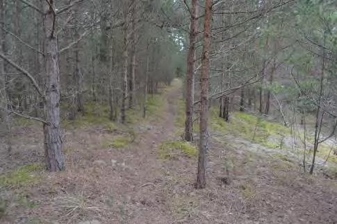 Gång-, cykel- och mopedtrafik Kollektivtrafik Parkering Störningar Teknisk försörjning Vatten Eventuella gemensamhetsanläggningar kan förvaltas av en samfällighetsförening.
