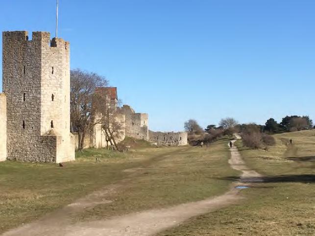 Region Gotland PLANBESKRIVNING SAMRÅD BN 2015/871 Visby Dovhjorten 6 m fl 2017-05-03 Kommunala beslut i övrigt Ett plankostnadsavtal har tecknats mellan fastighetsägaren och Region Gotland.