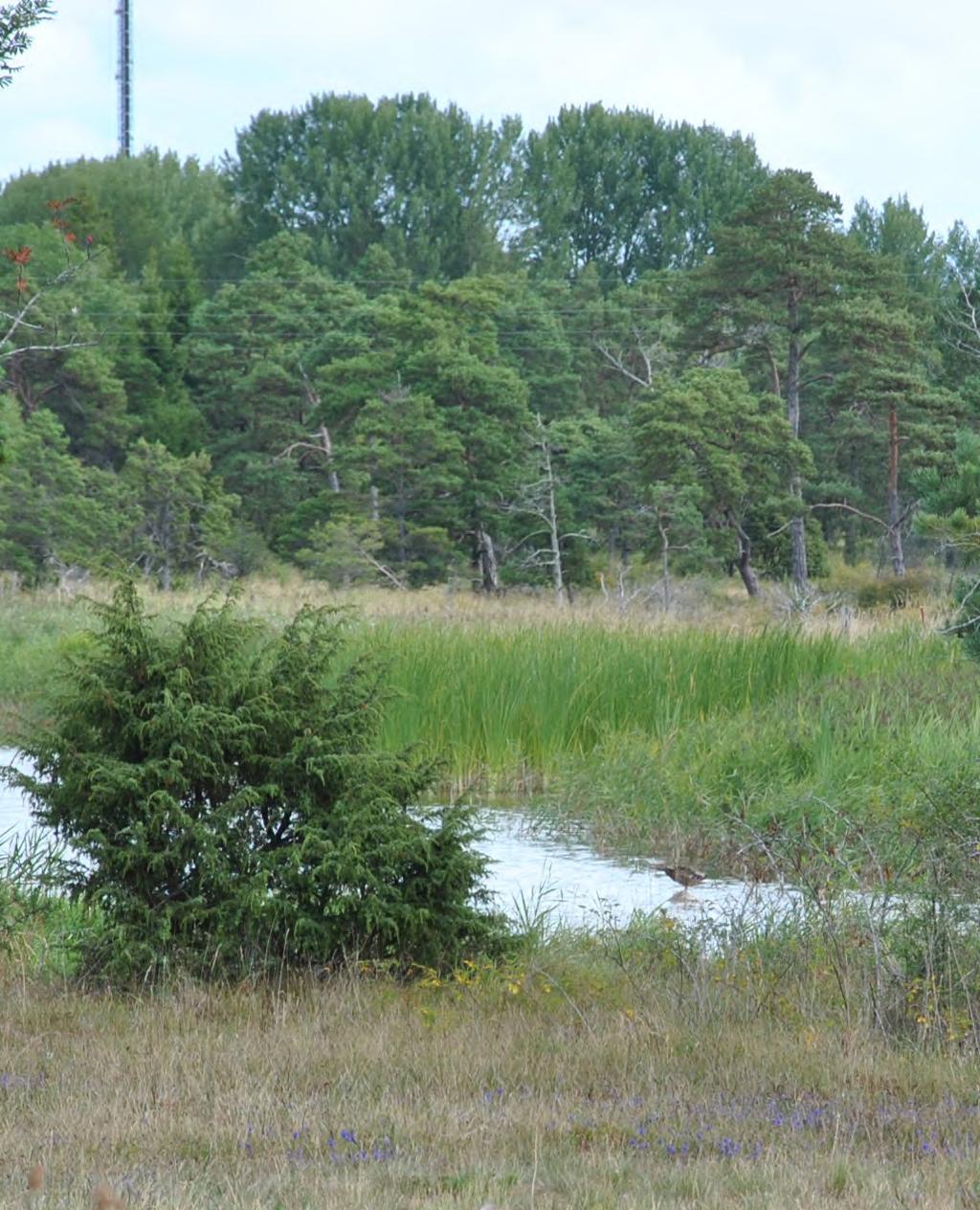 saknar tillstånd för vattenuttag. Tre av vattentäkterna har vattenskyddsområden fastställda enligt gällande lagstiftning, vissa saknar helt skyddsområden och andra har gamla vattenskyddsområden.