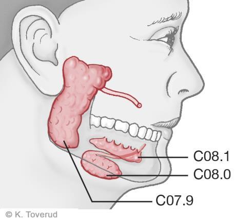 14.13 Spottkörtelcancer 14.13.1 Översikt ICD-10 Glandula parotis (öronspottkörtel) C07.9 Glandula submandibularis (spottkörtel under käken) C08.0 Glandula sublingualis (spottkörtel under tungan) C08.